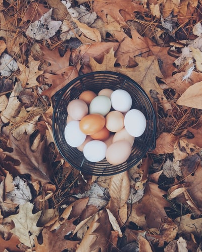 白色和棕色的鸡蛋
